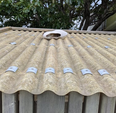 Description of photo 3