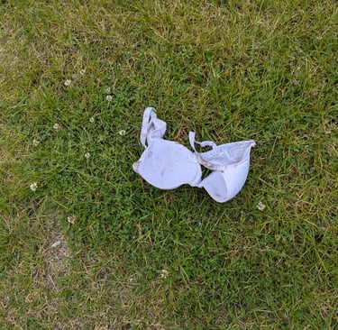 Description of photo 4